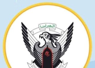 مجموعة متمردة تستسلم للجيش السوداني مجموعة متمردة تستسلم للجيش السوداني