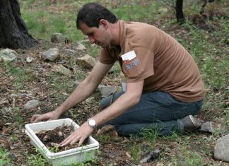 عوالم خفية.. الجزيرة نت تحاور عالما عربيا فك شفرة ممالك النمل عوالم خفية.. الجزيرة نت تحاور عالما عربيا فك شفرة ممالك النمل