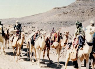 تاريخ أفريقي طويل من التضحية في طريق الحرم تاريخ أفريقي طويل من التضحية في طريق الحرم