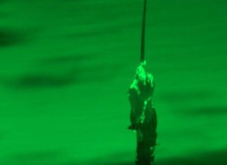 أبراج الديدان.. اكتشاف مدهش لسلوك جماعي فريد في الطبيعة أبراج الديدان.. اكتشاف مدهش لسلوك جماعي فريد في الطبيعة