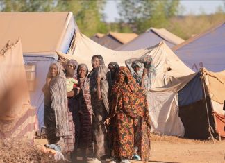 “أوتشا”: معاناة لا تُوصف للناجيات من العنف الجنسي بالسودان "أوتشا": معاناة لا تُوصف للناجيات من العنف الجنسي بالسودان