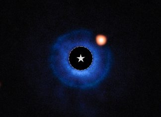 “جيمس ويب” يلتقط صورة لكوكب شبيه بزحل حول نجم شاب "جيمس ويب" يلتقط صورة لكوكب شبيه بزحل حول نجم شاب