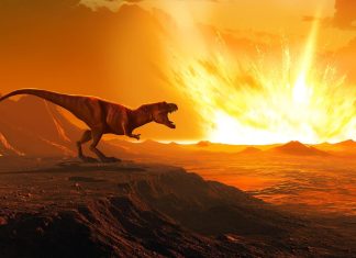 هل أخطأ العلماء بشأن الانقراضات الخمسة الكبرى؟ هل أخطأ العلماء بشأن الانقراضات الخمسة الكبرى؟