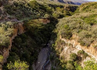 أسرار انقسام أفريقيا وظهور محيط جديد وفق عالمة بريطانية أسرار انقسام أفريقيا وظهور محيط جديد وفق عالمة بريطانية
