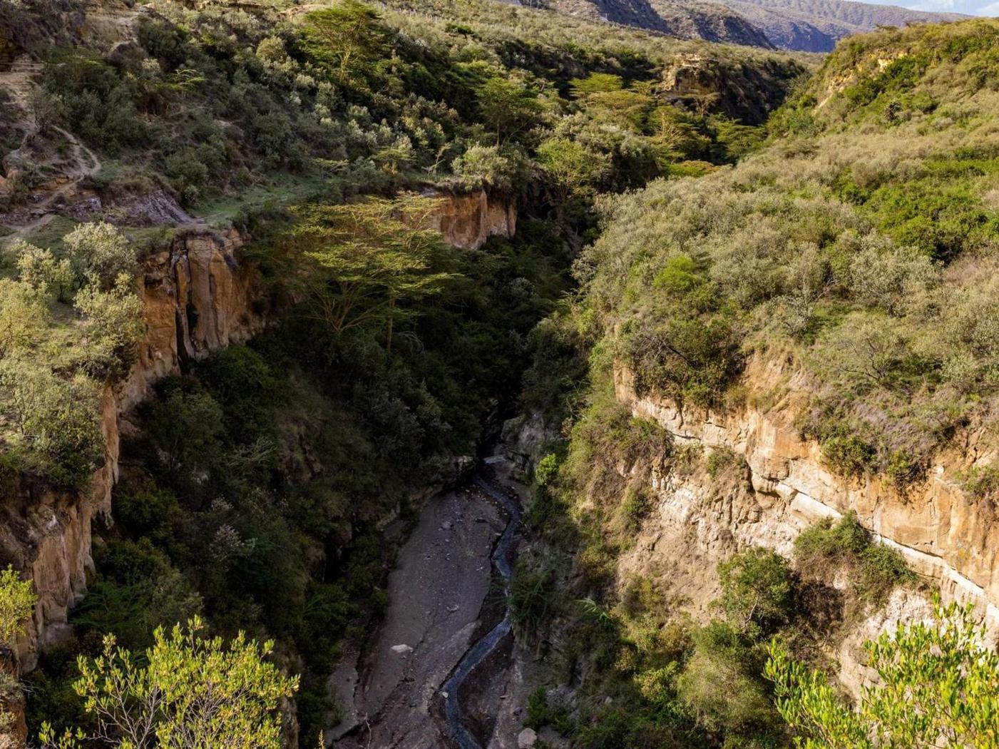 أسرار انقسام أفريقيا وظهور محيط جديد وفق عالمة بريطانية أسرار انقسام أفريقيا وظهور محيط جديد وفق عالمة بريطانية