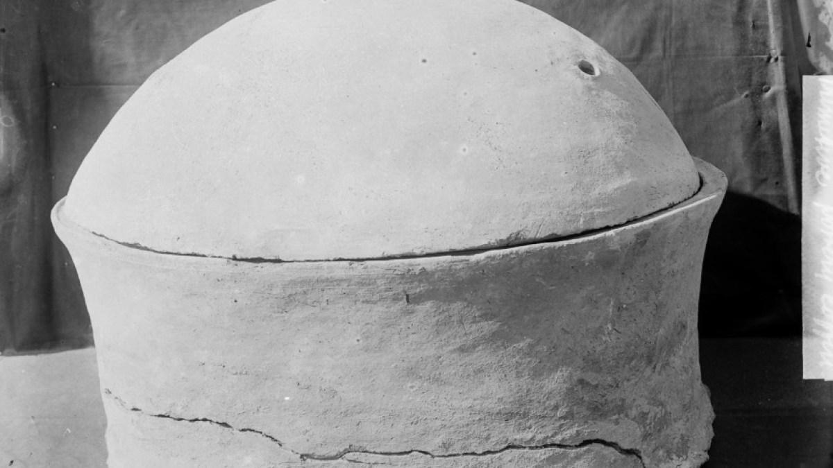 جينات تعيد رسم الرابط بين مصر القديمة والهلال الخصيب جينات تعيد رسم الرابط بين مصر القديمة والهلال الخصيب