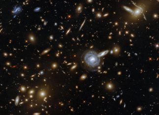 رحلة عالم نوبل: من اكتشافات الكون إلى اللايقين رحلة عالم نوبل: من اكتشافات الكون إلى اللايقين