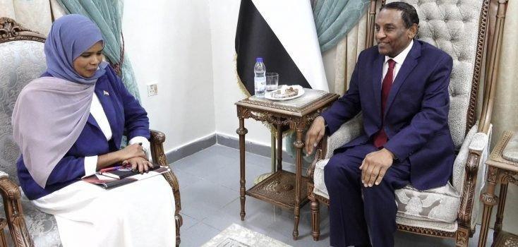 كامل إدريس: ضوابط مشددة لحماية قطاع التعدين من الفساد كامل إدريس: ضوابط مشددة لحماية قطاع التعدين من الفساد