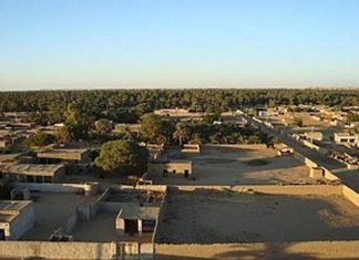 الدبة.. ممنوع التحرك ليلا الدبة.. ممنوع التحرك ليلا