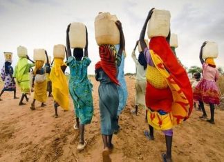 الفاشر.. من لم يمت بالحرب مات عطشا الفاشر.. من لم يمت بالحرب مات عطشا