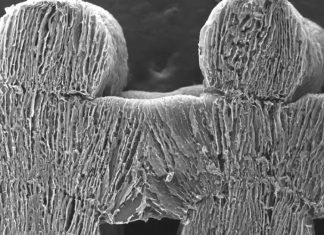 “الأيروجيل” يحول ماء البحر إلى عذب بدون طاقة "الأيروجيل" يحول ماء البحر إلى عذب بدون طاقة