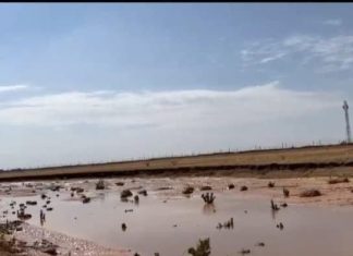 جثث طافية على النيل.. إليكم التفاصيل جثث طافية على النيل.. إليكم التفاصيل