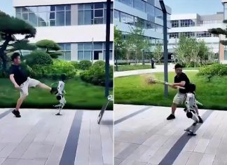 روبوت “إن2” يتعرض للركل في فيديو طريف روبوت "إن2" يتعرض للركل في فيديو طريف