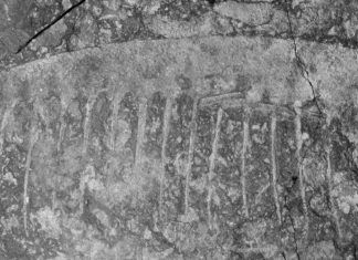 سمكة تختنق بحبار.. أول دليل أحفوري لـ”غذاء قاتل” قبل 150 مليون سنة سمكة تختنق بحبار.. أول دليل أحفوري لـ"غذاء قاتل" قبل 150 مليون سنة