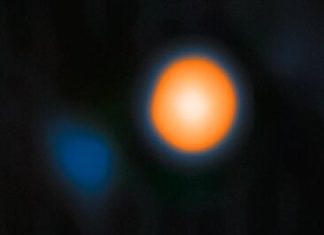 نجم منكب الجوزاء يكتشف “رفيق” يدور حوله نجم منكب الجوزاء يكتشف "رفيق" يدور حوله