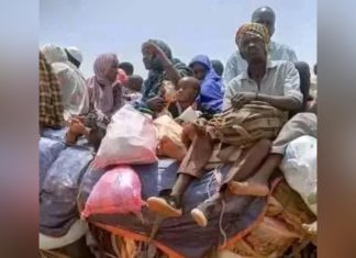 هجوم مسلح في صحراء الشمالية هجوم مسلح في صحراء الشمالية