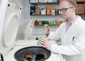 تحويل البلاستيك إلى باراسيتامول باستخدام بكتيريا تحويل البلاستيك إلى باراسيتامول باستخدام بكتيريا