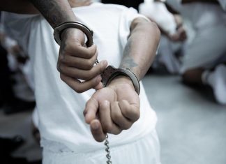 رسم وجوه المجرمين عبر الحمض النووي: حلم قريب؟ رسم وجوه المجرمين عبر الحمض النووي: حلم قريب؟