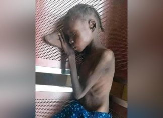 الفاشر: الجوع والموت يهددان أطفالنا بشكل خطير الفاشر: الجوع والموت يهددان أطفالنا بشكل خطير