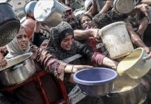 تقرير أممي: انعدام الأمن الغذائي في غزة يهدد الجميع تقرير أممي: انعدام الأمن الغذائي في غزة يهدد الجميع