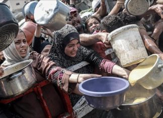 تقرير أممي: انعدام الأمن الغذائي في غزة يهدد الجميع تقرير أممي: انعدام الأمن الغذائي في غزة يهدد الجميع