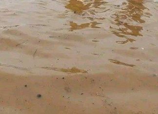 ممنوع شرب المياه.. بأمر “الدعم السريع” ممنوع شرب المياه.. بأمر “الدعم السريع”