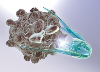 طريقة جديدة تسرع تطوير الروبوتات المجهرية بحجم النانو طريقة جديدة تسرع تطوير الروبوتات المجهرية بحجم النانو