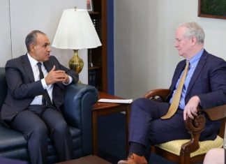 مباحثات مصرية أمريكية حول الأزمة السودانية مباحثات مصرية أمريكية حول الأزمة السودانية