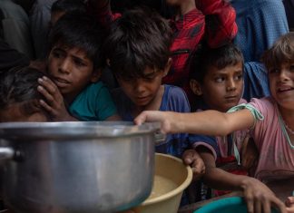 أثر المجاعة في الجينات: ذاكرة الأجيال القادمة أثر المجاعة في الجينات: ذاكرة الأجيال القادمة