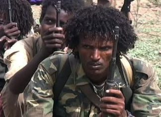 مقتل أربعة رعاة سودانيين على الحدود الإثيوبية مقتل أربعة رعاة سودانيين على الحدود الإثيوبية