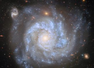 مرصد هابل يكتشف “نجم زومبي” نجا من الموت وعاد ليشع مرصد هابل يكتشف "نجم زومبي" نجا من الموت وعاد ليشع