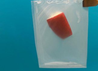 ابتكار بلاستيك مرن وقوي وقابل للتحلل بسهولة ابتكار بلاستيك مرن وقوي وقابل للتحلل بسهولة