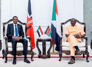 غاشاغوا: روتو قائد “الدعم السريع” وعلاقاته بحميدتي غاشاغوا: روتو قائد "الدعم السريع" وعلاقاته بحميدتي