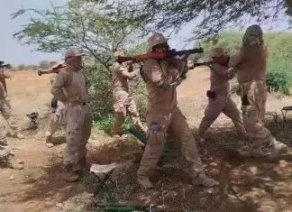 أسر مرتزقة كولومبيين في قبضة الجيش السوداني أسر مرتزقة كولومبيين في قبضة الجيش السوداني