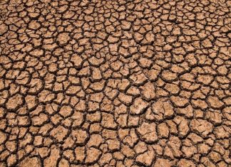 تربة جنوب العراق تخفي خطرا إشعاعيا محتملا تربة جنوب العراق تخفي خطرا إشعاعيا محتملا