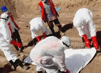 جثث متناثرة على قارعة طريق حيوي شمال دارفور جثث متناثرة على قارعة طريق حيوي شمال دارفور