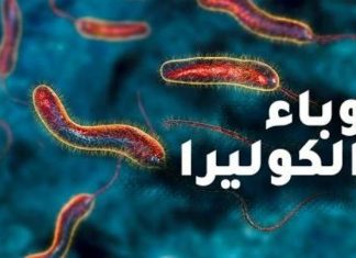 ارتفاع إصابات الكوليرا في السودان إلى 1210 حالة ارتفاع إصابات الكوليرا في السودان إلى 1210 حالة