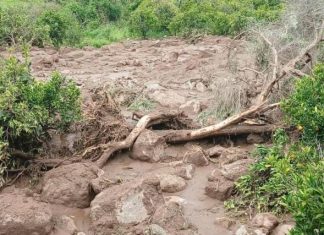 السودان.. انتشال 370 جثة من ضحايا الانزلاق الأرضي السودان.. انتشال 370 جثة من ضحايا الانزلاق الأرضي