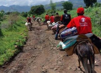 الاستعانة بـ “حمير” لتوصيل إغاثة إلى قرية ترسين في جبل مرة الاستعانة بـ “حمير” لتوصيل إغاثة إلى قرية ترسين في جبل مرة