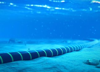 مايكروسوفت تحذر من بطء الإنترنت بسبب كابلات البحر الأحمر مايكروسوفت تحذر من بطء الإنترنت بسبب كابلات البحر الأحمر