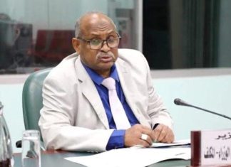 مسؤول حكومي رفيع.. من مجلس الوزراء إلى وزارة الخارجية مسؤول حكومي رفيع.. من مجلس الوزراء إلى وزارة الخارجية