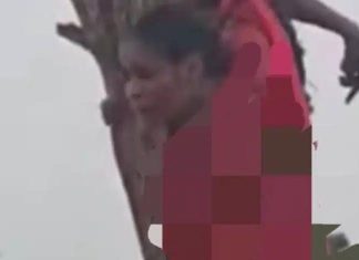 “دارفور تندد بوحشية الدعم السريع وفيديو الشجرة” "دارفور تندد بوحشية الدعم السريع وفيديو الشجرة"