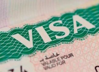 لا كفيل ولا رسوم تجديد.. السعودية تطلق تأشيرة غير مسبوقة لا كفيل ولا رسوم تجديد.. السعودية تطلق تأشيرة غير مسبوقة