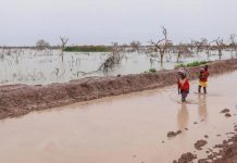 فيضانات جنوب السودان تُشرد الآلاف وتحذير أممي فيضانات جنوب السودان تُشرد الآلاف وتحذير أممي