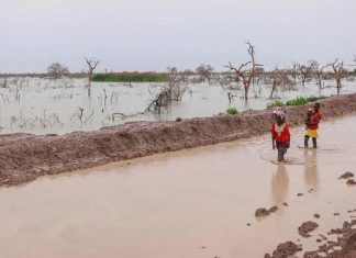 فيضانات جنوب السودان تُشرد الآلاف وتحذير أممي فيضانات جنوب السودان تُشرد الآلاف وتحذير أممي