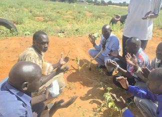 الضحايا في الفاشر يدفنون بلا أكفان وسط حصار خانق ومتواصل الضحايا في الفاشر يدفنون بلا أكفان وسط حصار خانق ومتواصل