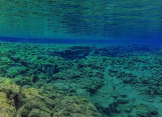 قاع البحر: أجزاء شاسعة قُلبت رأسا على عقب قاع البحر: أجزاء شاسعة قُلبت رأسا على عقب