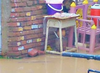 أمطار ود مدني تودي بحياة عائلة وتكشف خطر الجبادا أمطار ود مدني تودي بحياة عائلة وتكشف خطر الجبادا