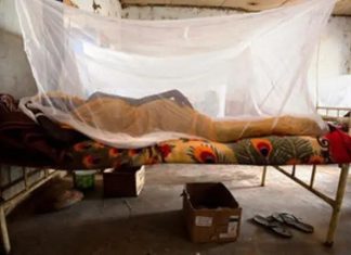 حمى الضنك تجتاح السودان والوفيات منخفضة حمى الضنك تجتاح السودان والوفيات منخفضة