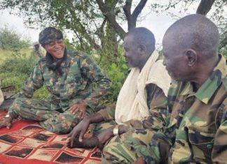 قوة عسكرية مشتركة بين موسى هلال وحركات الكفاح المسلح قوة عسكرية مشتركة بين موسى هلال وحركات الكفاح المسلح